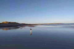 Charlotte-Mountford-2