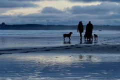 dog-walkers
