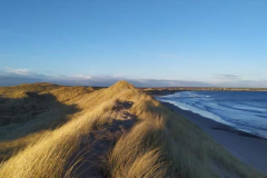 Charlotte-Mountford-Views-from-the-dunes-at-Reiss-Beach