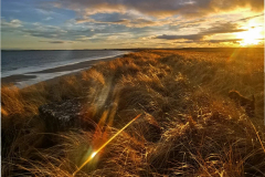 Shelagh-Swanson-Tuesday-24th-Keiss-Beach