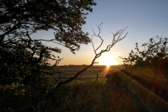 Summer Solstice at Sibster