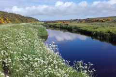Wick-River-1