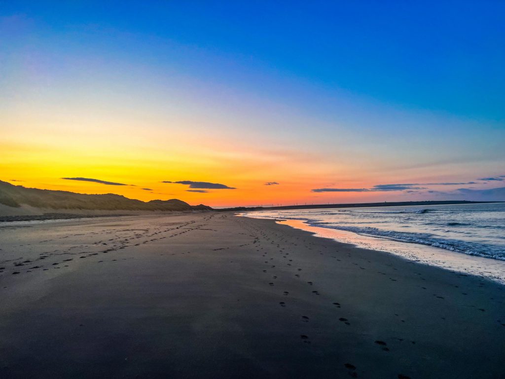 Sinclair's Bay Trust